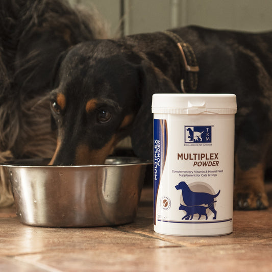 10 top tips for feeding your pet a balanced diet