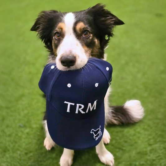 How much exercise does your dog actually need?