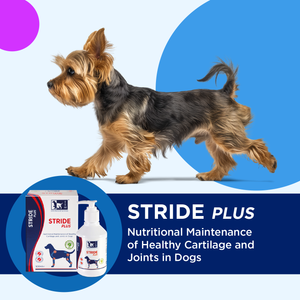 TRM Pet Stride Plus