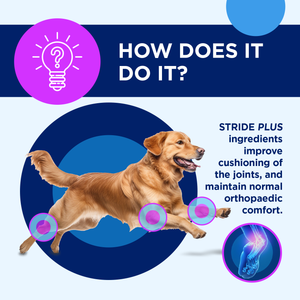 TRM Pet Stride Plus