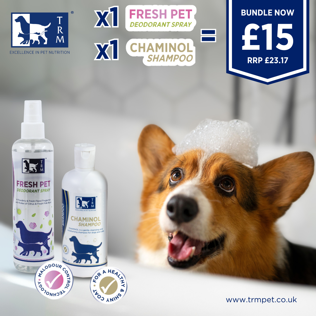 Fresh sales pet grooming